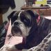 Profile Picture of Cassie Eck (@cassie.eck.7) on Facebook