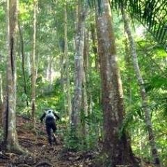 Profile Picture of Ken Tham (@matelot_my) on Twitter