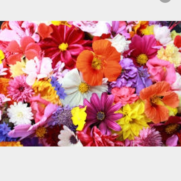 Profile Picture of Vanessa Gritton (@julybabyy) on Poshmark