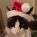 Profile Picture of Alex Hsue (@alexhsue) on Pinterest