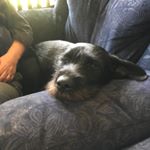 Profile Picture of Kevin Toohey (@kevin.toohey.359) on Instagram