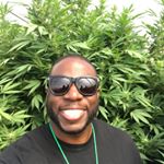 Profile Picture of Christopher Owusu (@chrisohwoosue) on Instagram