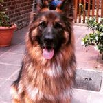 Profile Picture of Noreen Marchant (@noreenmarchant) on Instagram