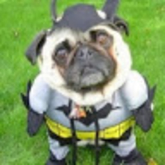 Profile Picture of Dee Bender (@benderdp) on Poshmark