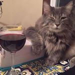 Jonathan H - Instagram Profile Picture of Jonathan H (@slightly_distressed) on Instagram