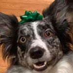 Profile Picture of Randy LYles (@randy.lyles.35) on Instagram