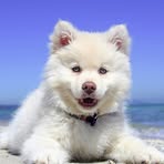 Profile Picture of Clauß Ronald (@Clauß-Ronald) on Facebook