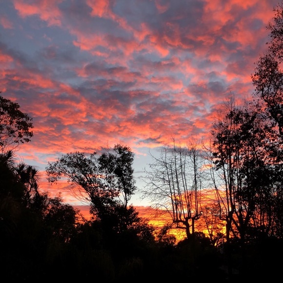 Profile Picture of Katerina Bovis (@katebovis) on Poshmark