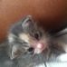 Profile Picture of Lola Stacks (@lola.stacks.18) on Facebook