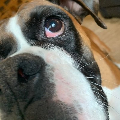Profile Picture of Jessica Conkey (@JessicaConkey) on Twitter