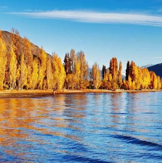 Profile Picture of Darling Fermin (@darling.fermin.16) on Facebook