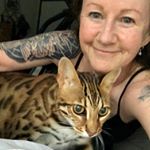 Profile Picture of Jan Sparks (@jan77cats) on Instagram