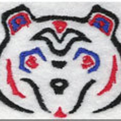Profile Picture of Lisa Carman (@otters64) on Twitter
