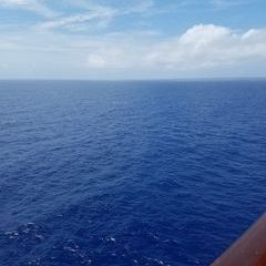 Profile Picture of kimberlyschwalm (@kimberlyschwalm) on Tiktok