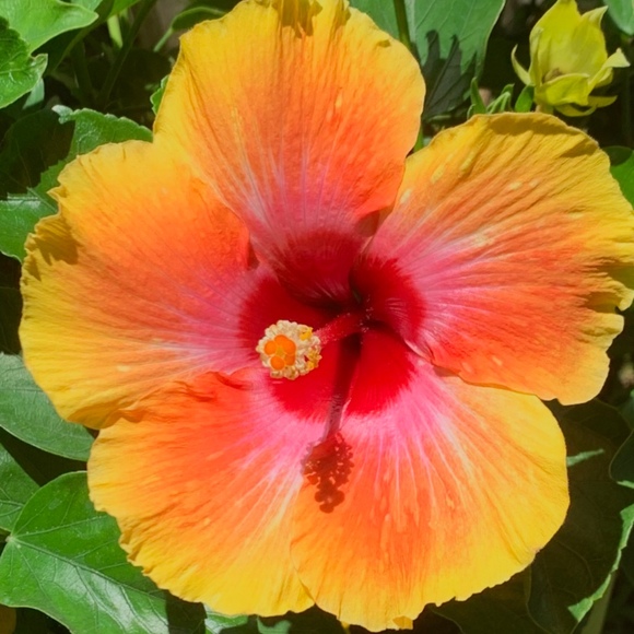 Profile Picture of Suzanne Boyd (@suzann916) on Poshmark