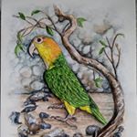 Profile Picture of Janet Plumb (@indigo_eclipse_art) on Instagram