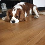 Profile Picture of Jang Moon Young (@moonyoung.jang.18) on Instagram