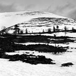 LUETKEMEYER - Instagram Profile Picture of LUETKEMEYER (@luetkemeyer35) on Instagram