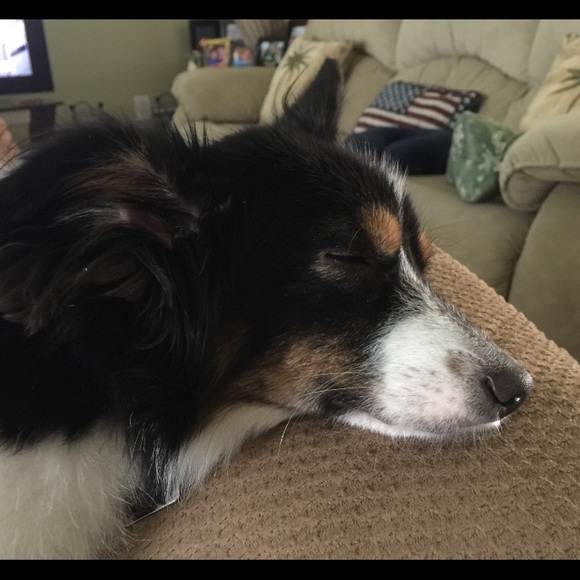 Profile Picture of Daniel Roth (@gamerguy921) on Poshmark