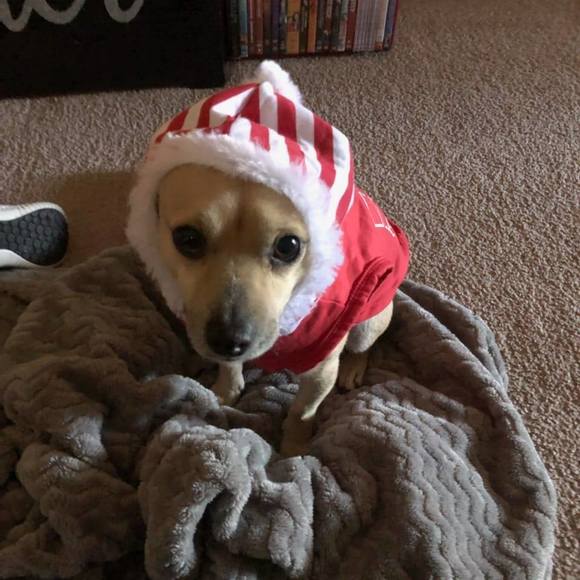 Profile Picture of Austin Walker (@austinwalker330) on Poshmark