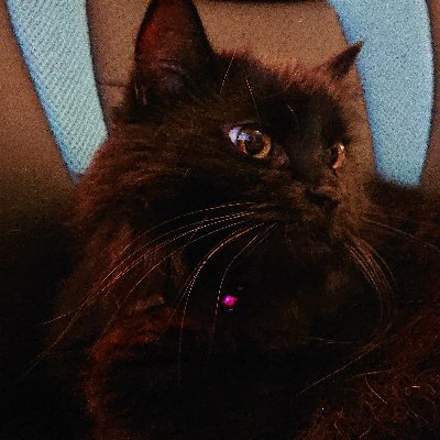 Profile Picture of David (@DavidCasal14) on Twitter
