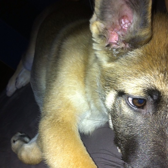 Profile Picture of Kent Arnusorn (@coconutkent) on Poshmark