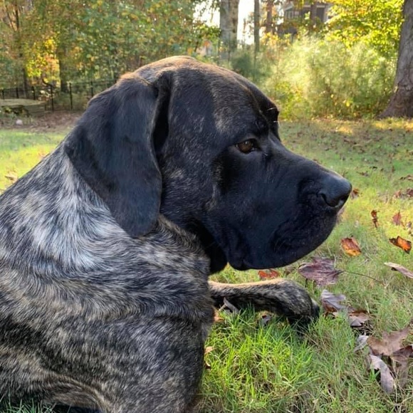 Profile Picture of Thomas Burns (@thomasburns883) on Poshmark