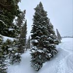 Profile Picture of Clayton Saxton (@pointchute) on Instagram