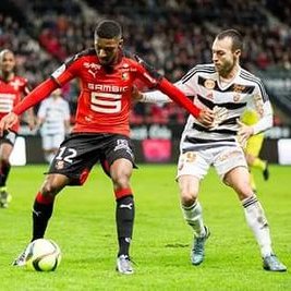 Profile Picture of Steven Moreira (@beenkss) on Twitter