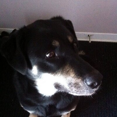Profile Picture of Jeff Pama (@jeffpama) on Twitter