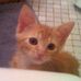 Profile Picture of Garfield Weller (@garfield.weller) on Facebook