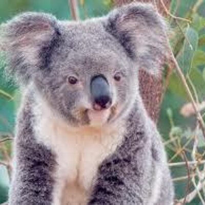 Profile Picture of Andre Franklin (@andrefranklin4) on Twitter