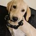 Profile Picture of Andrew Leach (@andrew.leach.98837) on Facebook