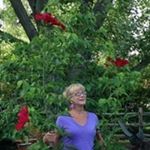 Profile Picture of Sara Christman (@sarandipityox) on Instagram