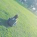 Profile Picture of Anabela Gorosito (@anabela.gorosito.3) on Facebook