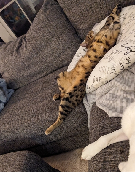 Profile Picture of Nicole Janusch (@nicolejanusch) on Poshmark