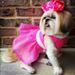 Profile Picture of Joyce Lumbayi _ Student - RogersLaneES (@jblumbayi) on Pinterest