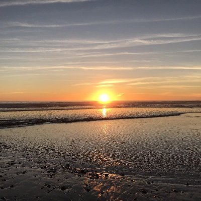 Profile Picture of Patrick Milburn (@PatrickMilburn9) on Twitter