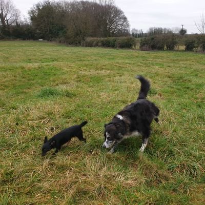 John Kewley - Twitter Profile Picture of John Kewley (@soulseekerUK) on Twitter