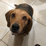 Profile Picture of Chewie Darby (@chewie_broski) on Instagram
