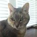 Profile Picture of Jean Barber (@jmabarber) on Pinterest
