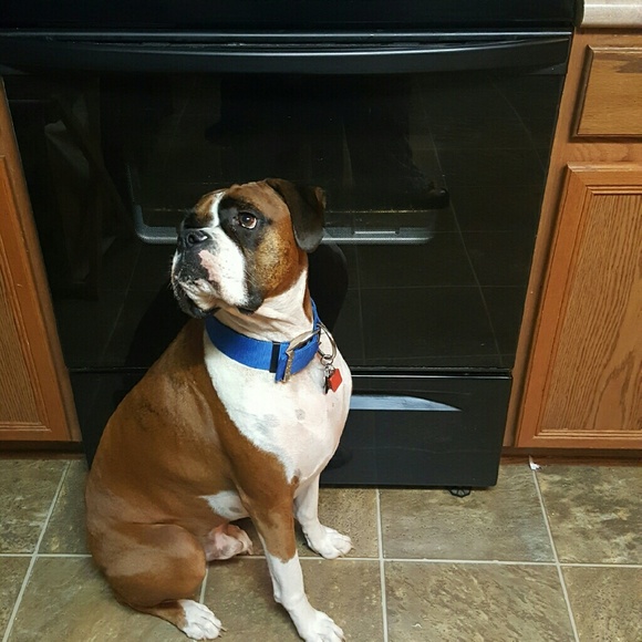 Profile Picture of Michelle Ytuarte (@mytuarte) on Poshmark