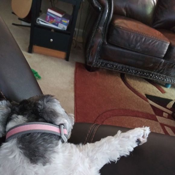 Profile Picture of Shirley Huffman (@shirleyhuffman) on Poshmark