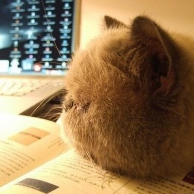Profile Picture of JuliaTien (@JuliaTien) on Twitter