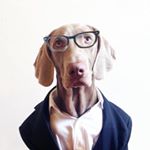Profile Picture of Antxón Alcain (@antxonalcain) on Instagram