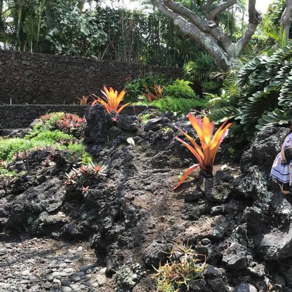 Profile Picture of Dee Schuette (@deeandbobsc) on Poshmark