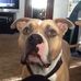 Profile Picture of Linda Adamczewski (@linda.adamczewski.9) on Facebook