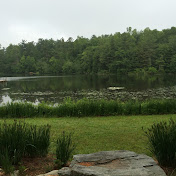 Profile Picture of Robert Haynes (@Robert-ku6pu) on Youtube