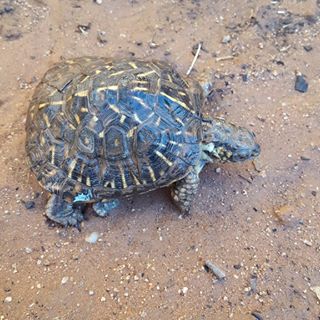 Profile Picture of Debbie Montoya (@Debbie-Montoya) on Facebook