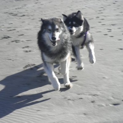 Profile Picture of Michael Hurwitz (@Jis2Hurwitz) on Twitter